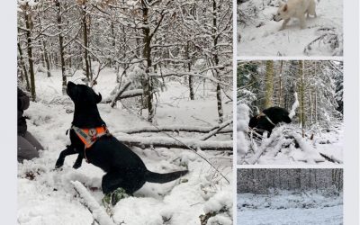 Schneetraining